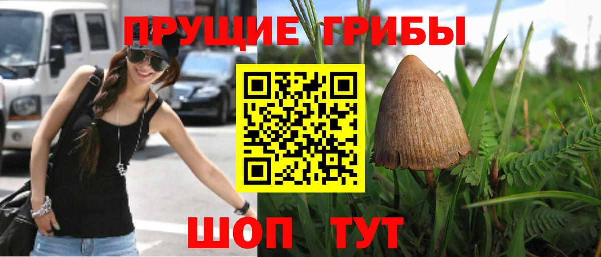 Россия  Псилоцибиновые грибы мухоморы  Вход с VPN  Псилоцибиновые грибы ЛСД 